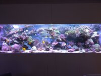 20251010_183334.jpg