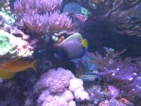 20251010_183442.jpg