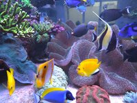 20251010_183406.jpg
