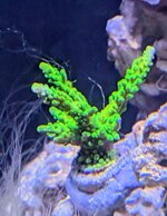 PXL_20251005_104036215~2.jpg