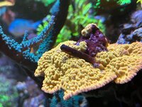 IMG_3575.jpg
