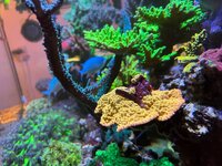 IMG_3577.jpg