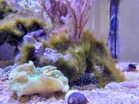 20251019_165104.jpg