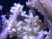 20251019_165427.jpg