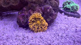 20251021_173731.jpg 20251021_173731.jpg
