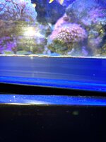 IMG_4187.jpeg