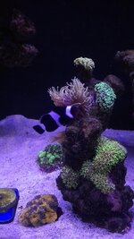 20251102_201230.jpg 20251102_201230.jpg