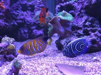 20251103_185104.jpg