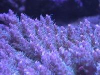 20251124_132752.jpg