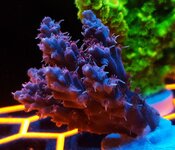 20251123_004046.jpg