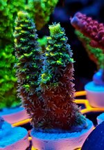 20251123_004051.jpg
