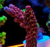 20251123_004055.jpg