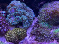 IMG_8063.jpeg IMG_8063.jpeg