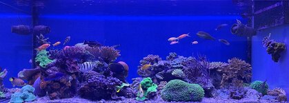 IMG_4267.jpeg
