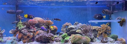 IMG_4272.jpeg