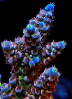 20251203_215049.jpg