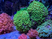 IMG_2297.jpeg IMG_2297.jpeg
