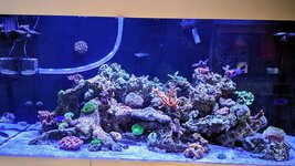 PXL_20251221_101226495.jpg