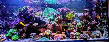 PXL_20250326_162630324.MP~2.jpg