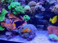 IMG_2358.jpeg IMG_2358.jpeg