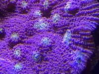IMG_8113.jpeg IMG_8113.jpeg