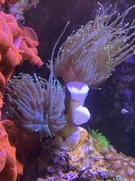 IMG_8105.jpeg IMG_8105.jpeg