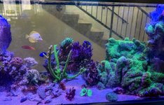 IMG_2425.jpeg IMG_2425.jpeg