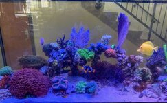 IMG_2424.jpeg IMG_2424.jpeg