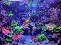 IMG_2515.jpeg IMG_2515.jpeg