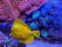 IMG_2516.jpeg IMG_2516.jpeg