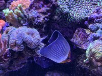 IMG_2518.jpeg IMG_2518.jpeg