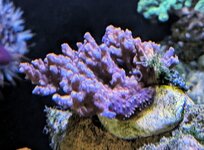 PXL_20260102_084103975~2.jpg