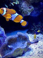 IMG_6852.jpg IMG_6852.jpg