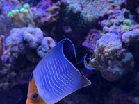 IMG_2607.jpeg IMG_2607.jpeg