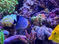 IMG_2612.jpeg IMG_2612.jpeg