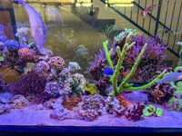 IMG_2651.jpeg
