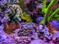 IMG_2652.jpeg