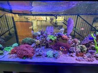 IMG_2653.jpeg