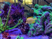 IMG_2655.jpeg