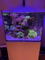 IMG_1014.jpeg