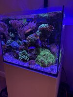 IMG_1016.jpeg