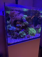 IMG_1018.jpeg