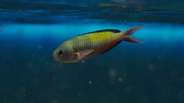 IMG_0178.jpeg