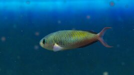 IMG_0179.jpeg