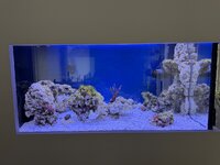 IMG_0722.jpeg IMG_0722.jpeg