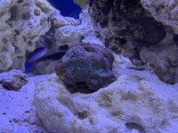 IMG_0728.jpeg IMG_0728.jpeg