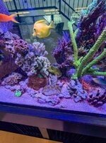 IMG_2815.jpeg
