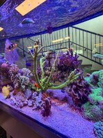 IMG_2814.jpeg