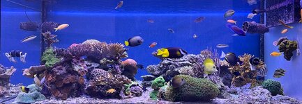 IMG_4515.jpeg