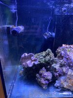 IMG_7391.jpeg